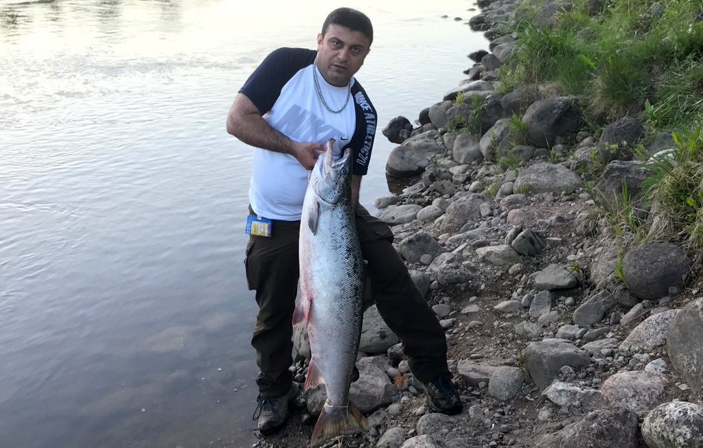 hikmet med älvkarleby lax 13,5 kg